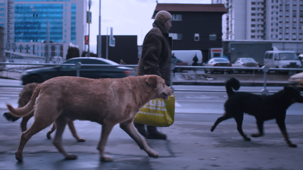  (Copyright: RAUMZEITFILM)